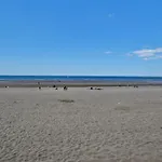 Le Nid Du Normandy - A Deux Pas De La Appartement *